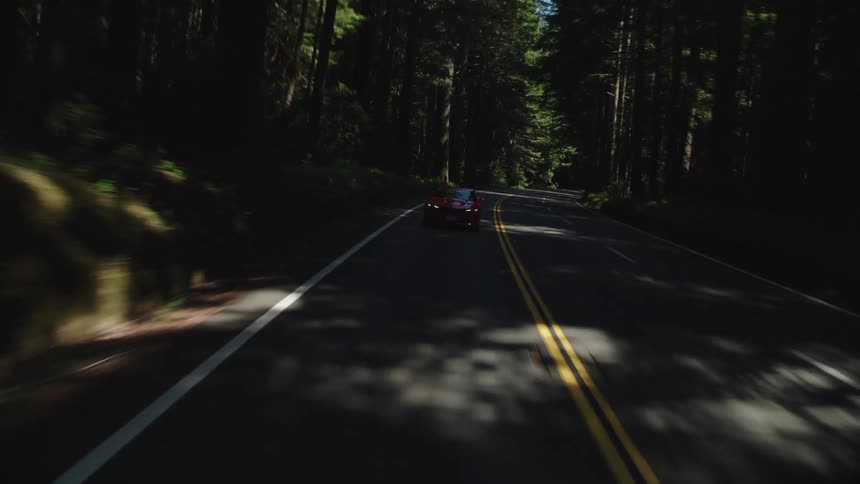 Red sports car drives down highway in pine forest