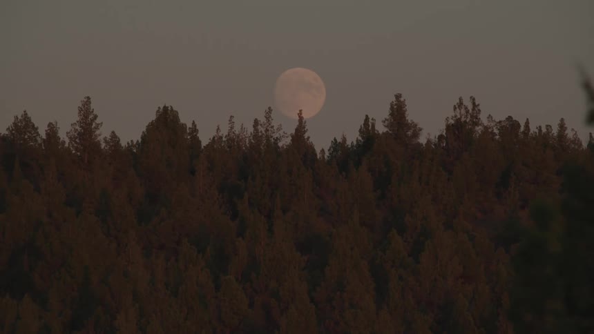 The almost moon rises