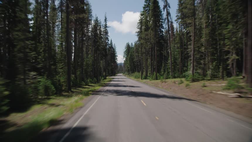 A two lane road through a forest during the day