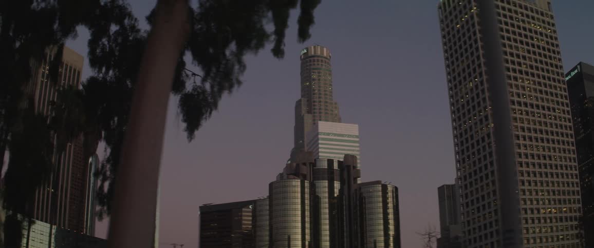 The skyscrapers downtown