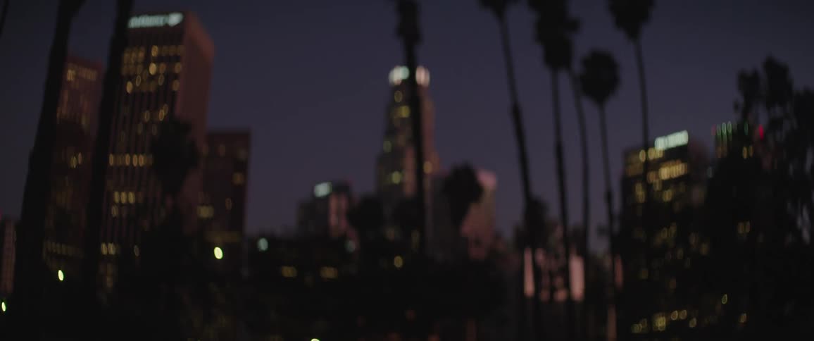 Skyscrapers in a metropolis at night