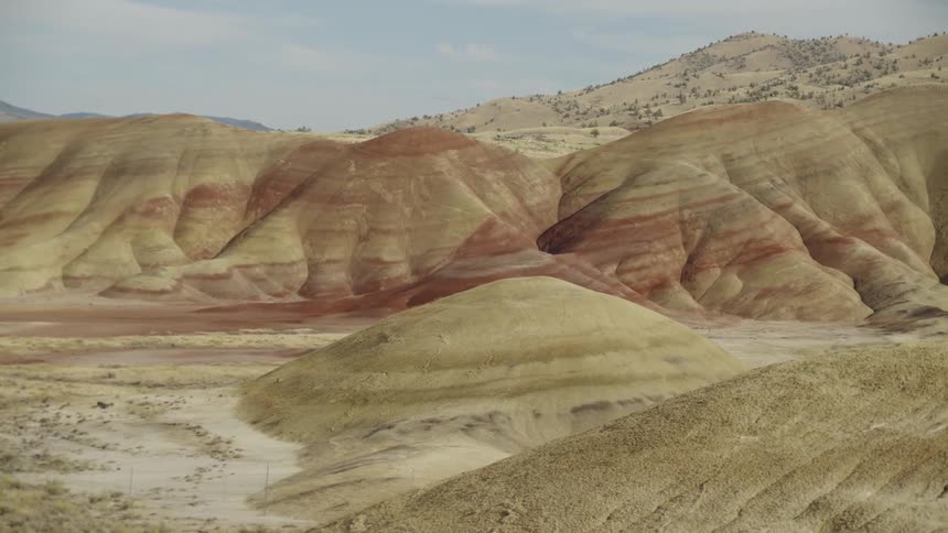 Rolling sandy hills with trees in the background