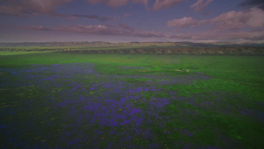 A large green field