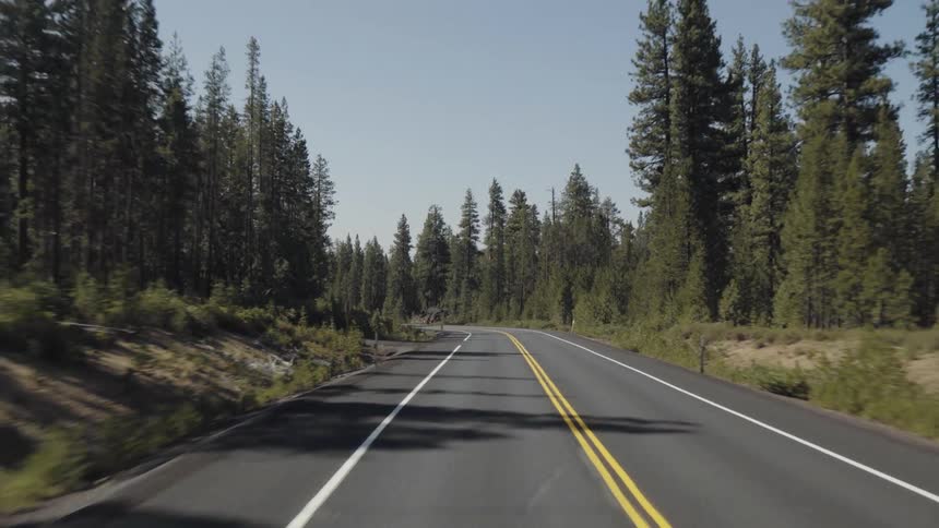 Vehicle goes along the forest highway on a sunny day