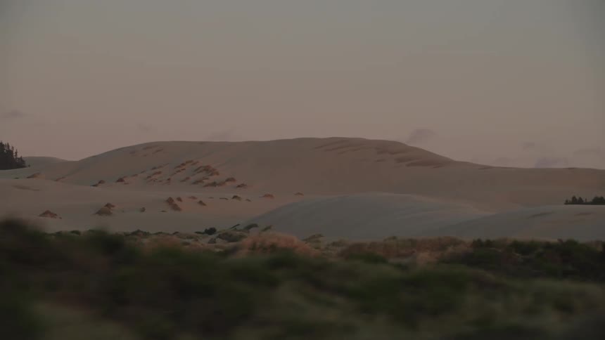 Sand dunes and vegetation