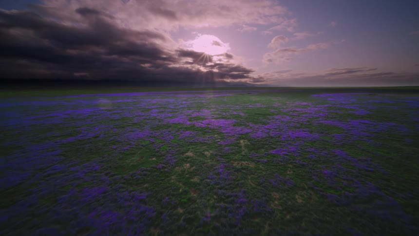 Flowers are covering the grassland meadows