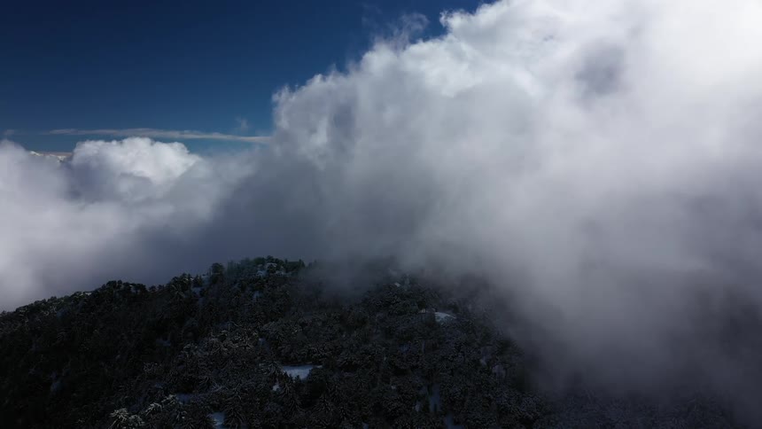 Clouds obscure the top of a forest and snow covered mountain