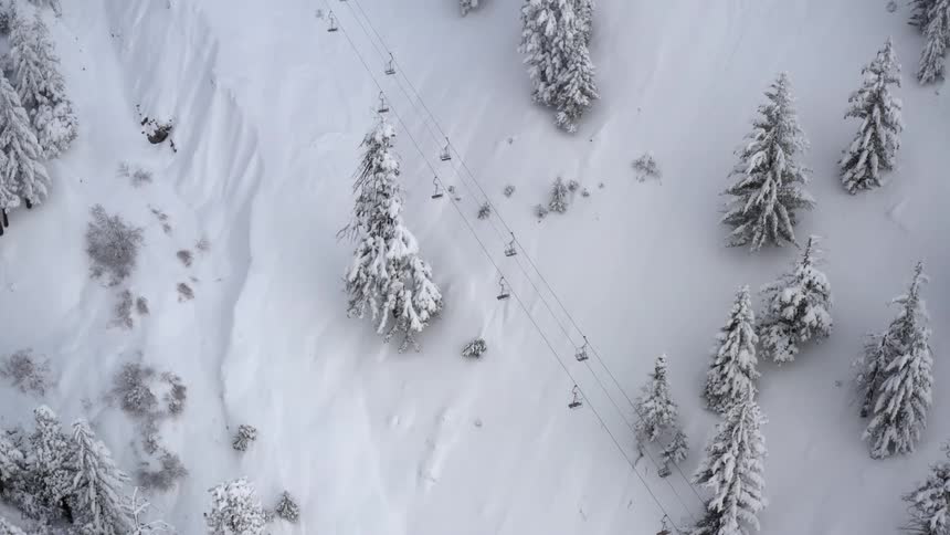 Snow and trees are covering the mountain area