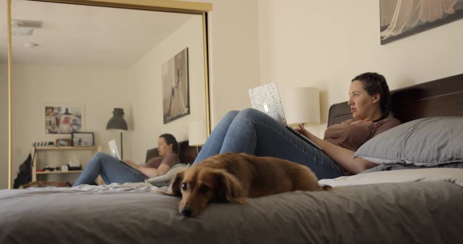 Woman laying in bed with her dog works on laptop inside bedroom