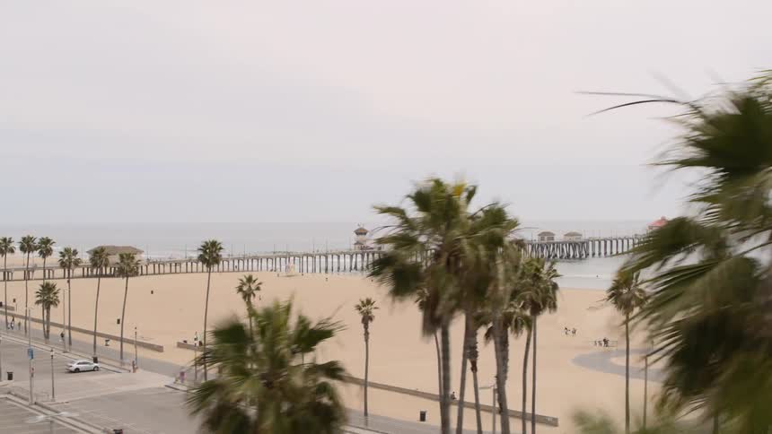People playing on a beach