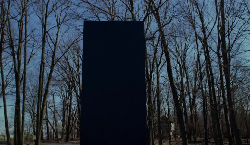 A black monolith in the middle of a woodland road