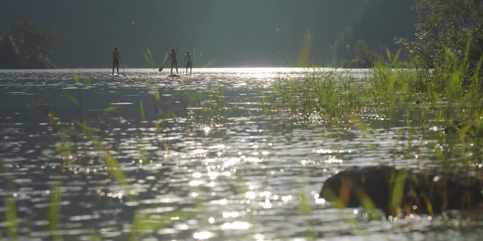 Three people paddle boarding on a river