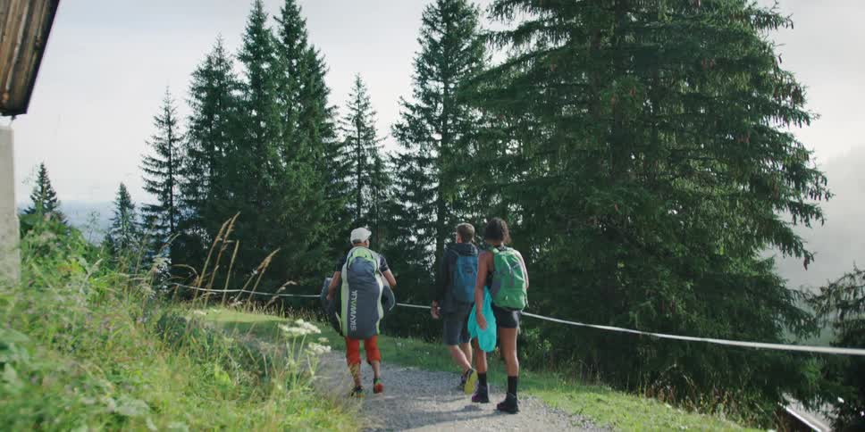 Three people start hiking on a path through a forest