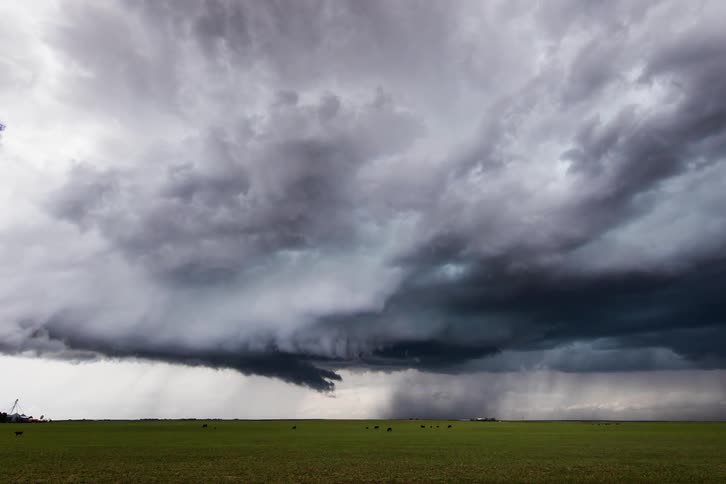 A grassy plain with animals with storm clouds above