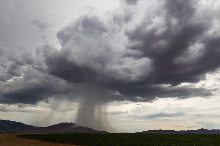A grassy plain with rain clouds above