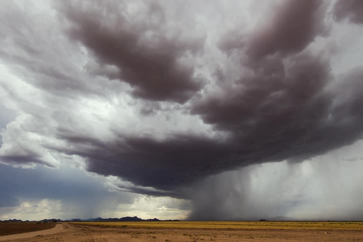 A strong monsoon storm with microburst and dust foot