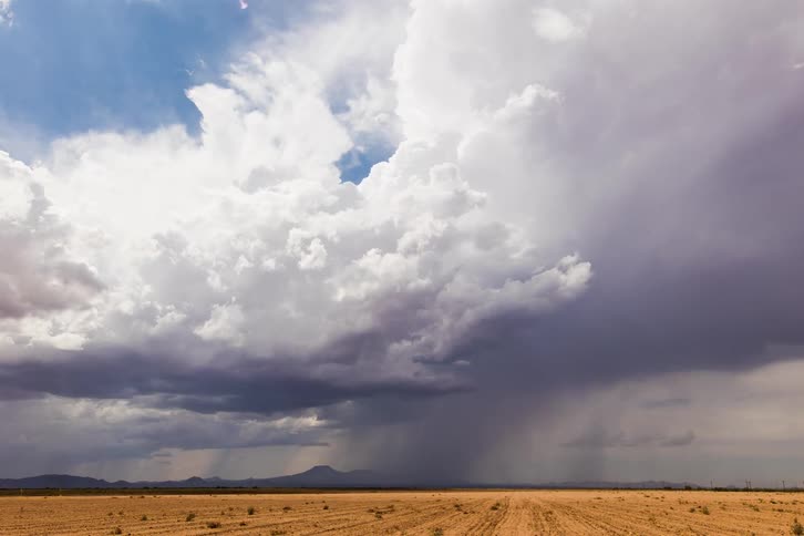 Storm front flows across fields dotted with vegetation