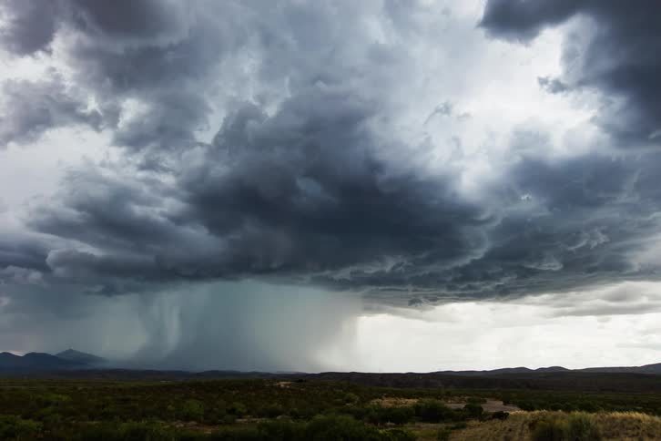 A cloudfront circling over a field