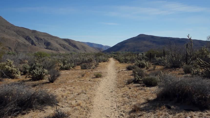 Hiking down a narrow desert path