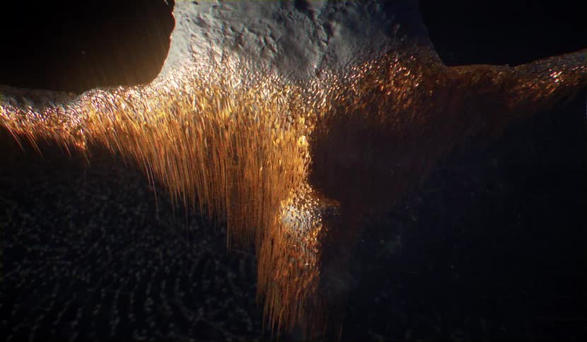 Grains move in a digital image