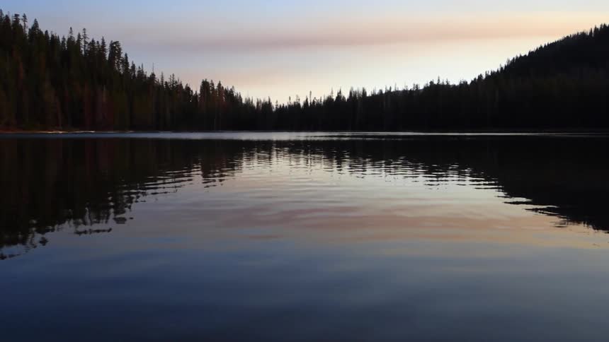 Pine trees surround a rippling lake