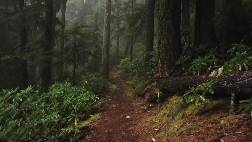 Oregon