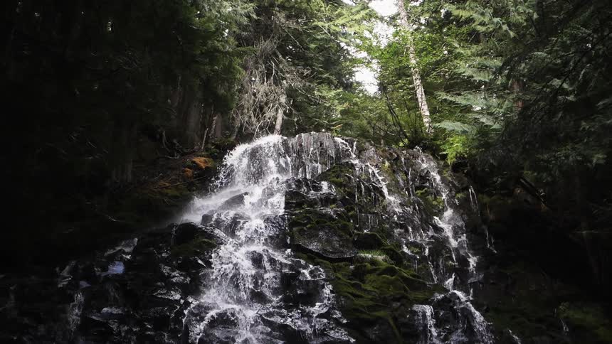 Water cascading down the face of a jagged cliff in the forest