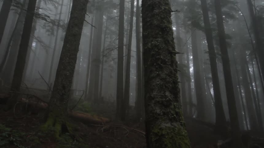 Oregon