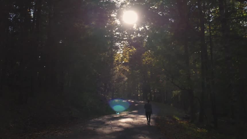 A person walks down a dirt path through a forest