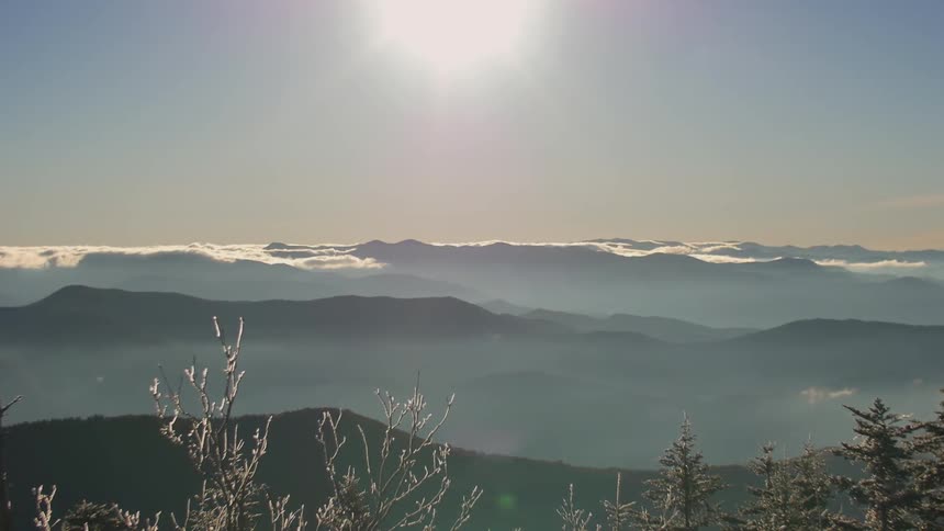Sun reflecting off ice covered branches in the foreground and cloud covered mountains in the background