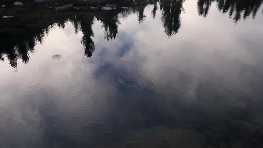 Pine trees and clouds reflecting in a pond