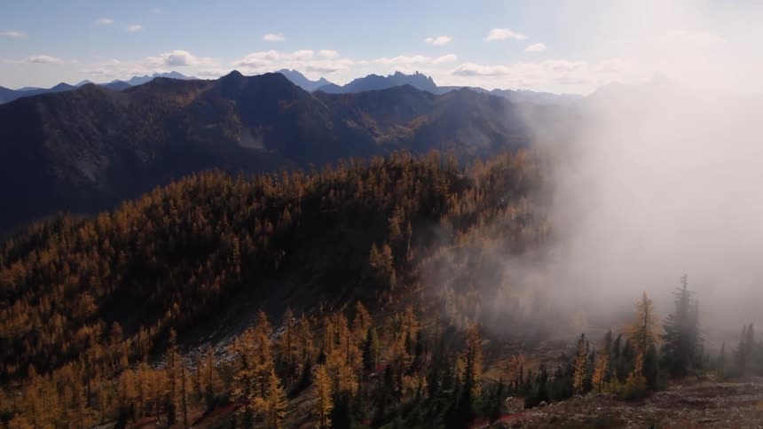 Fog rolling over a tree covered valley