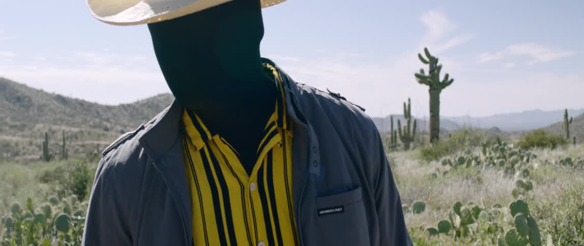 A scarecrow in a field