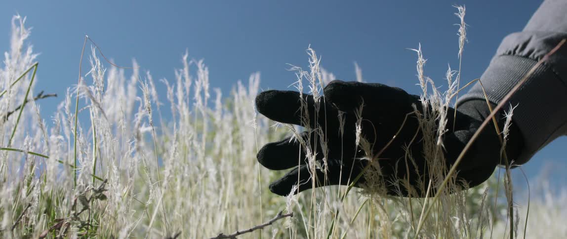 A person in a morph suit putting their hands on a plant