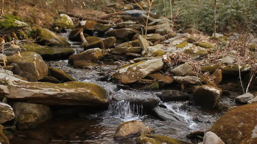 Smoky Mountains