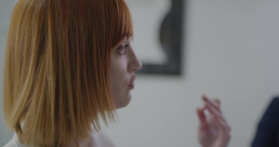 Red haired businesswoman conducts a business meeting in the office