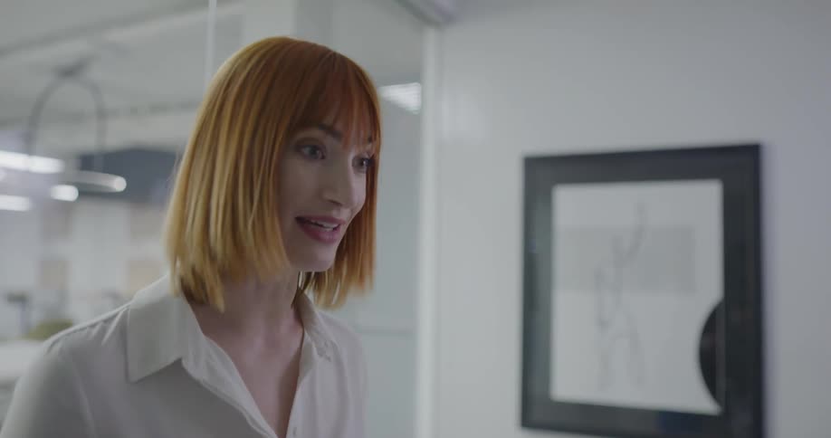 Business woman conducts a business meeting in the office