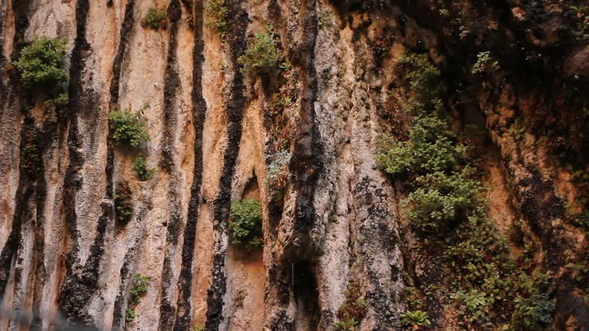 Water trickles over a cliff