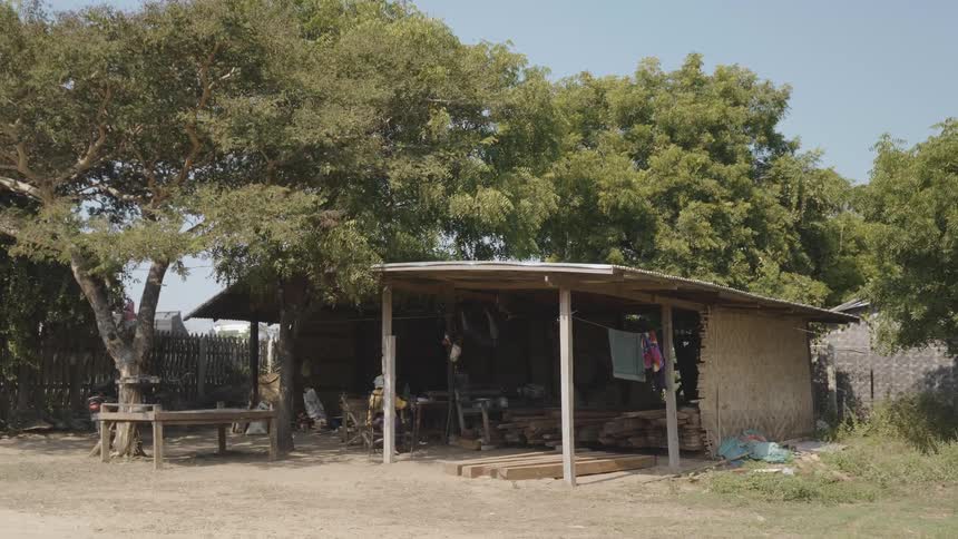 Trees surround a shack in a village