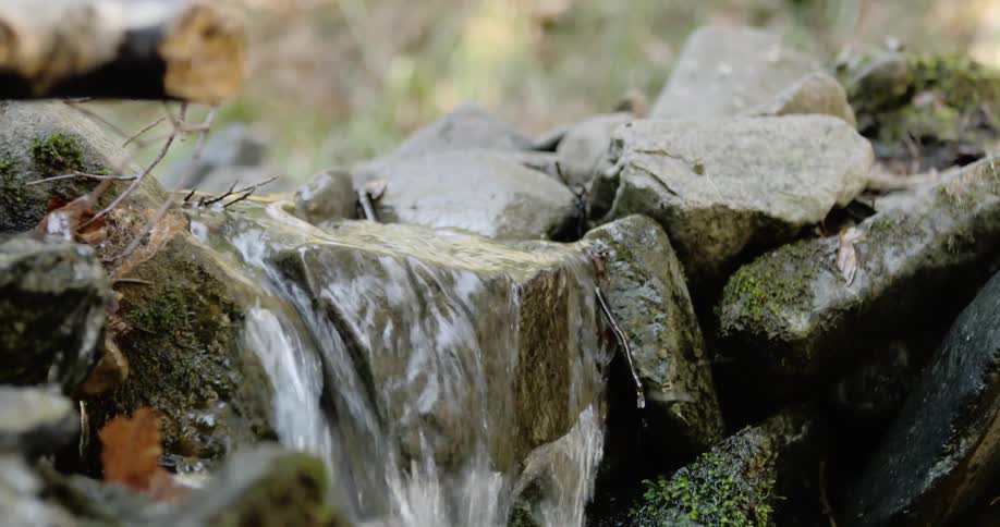 A small stream of water flows over rocks some with moss and twigs