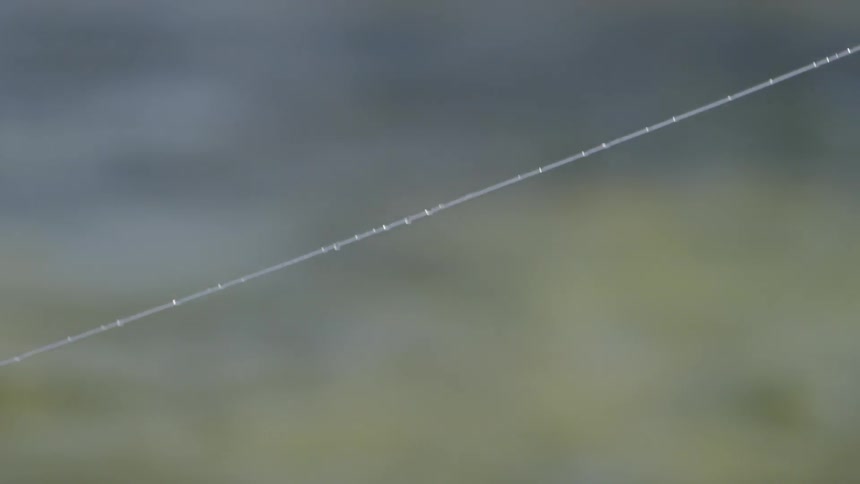 A fishing line moves with the water