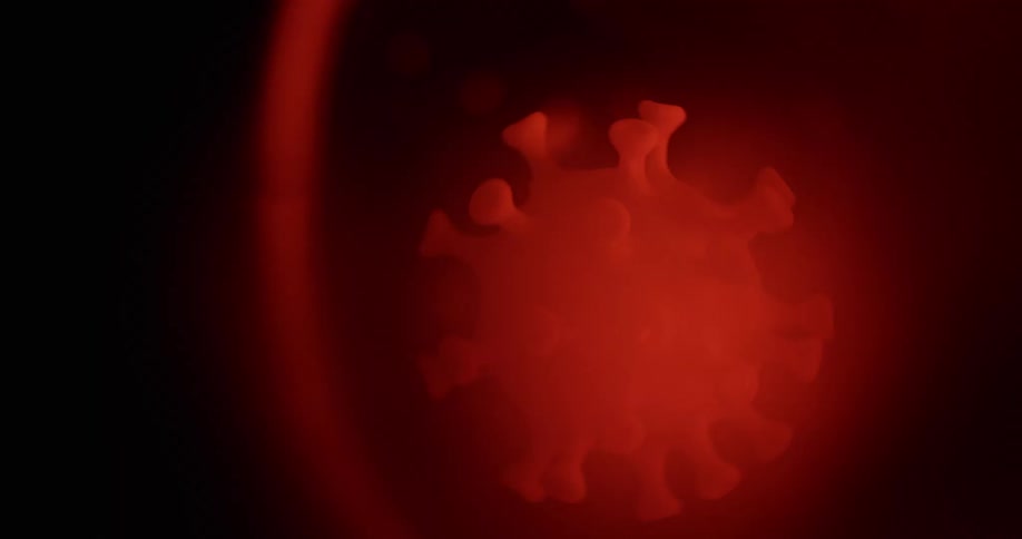 A red virus spins in a colored medium
