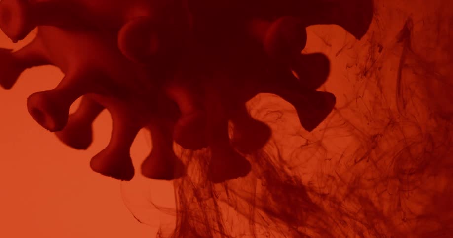 A virus spins in a liquid