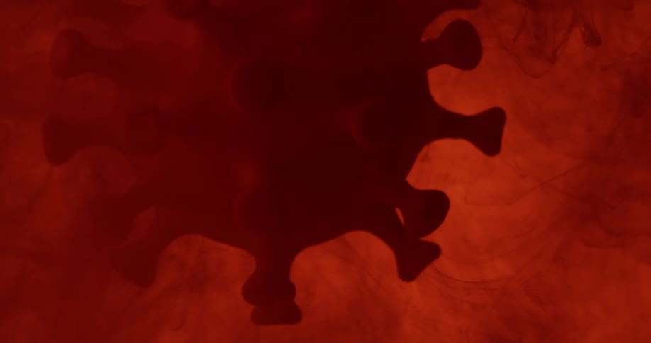 A large red virus floats in a medium