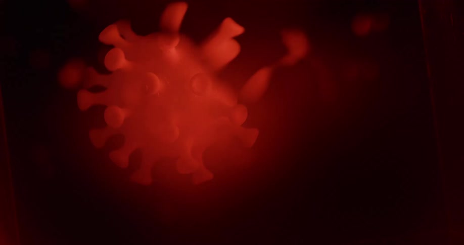 A coronavirus spins in liquid