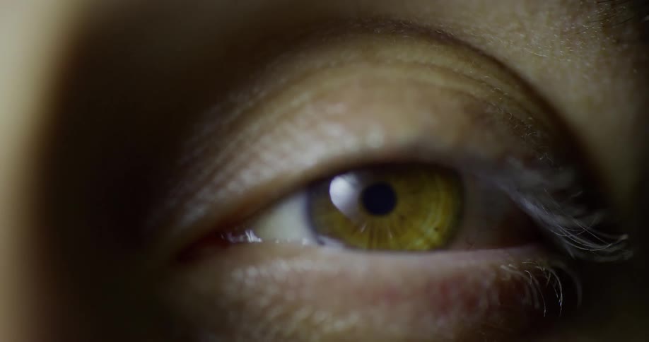 An eye looks around
