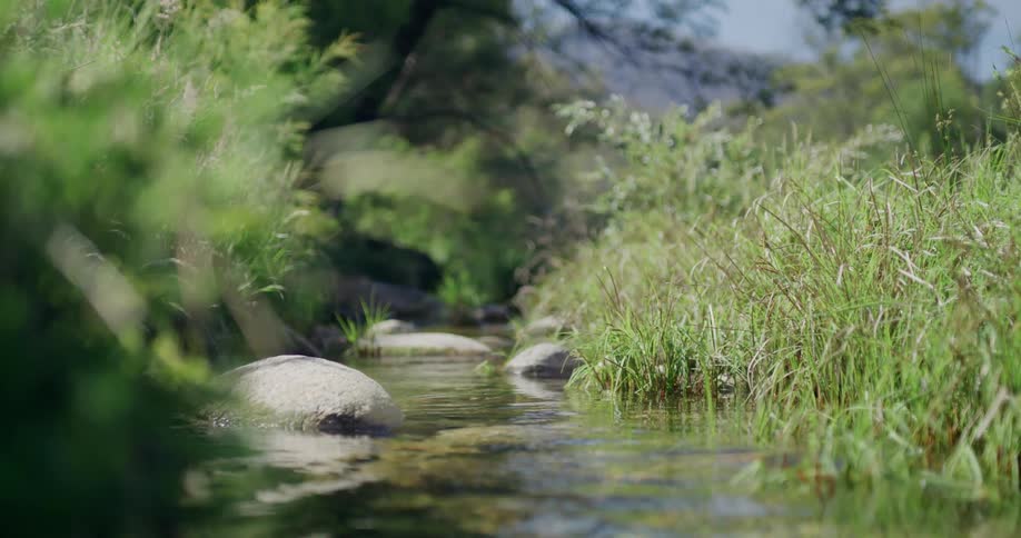 Small narrow stream flows down