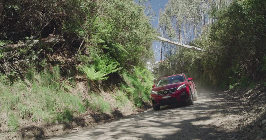 A car drives around the trail