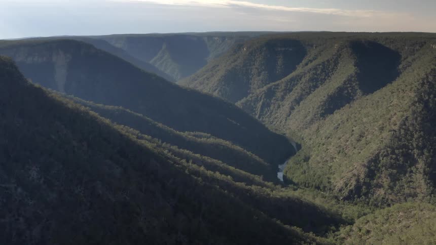 The trees cover the mountains
