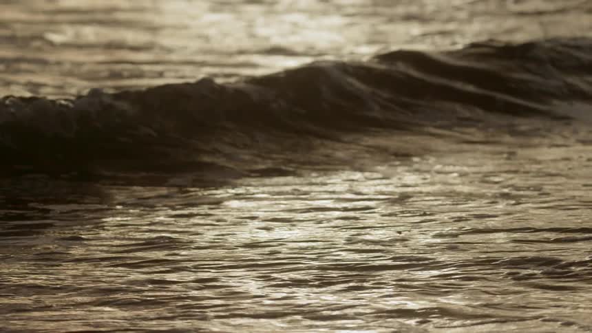 Friends Surfing